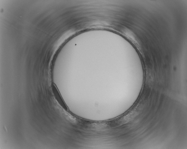 X0000060801384200512082139