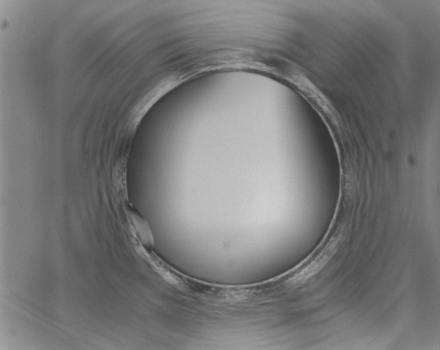 X0000060801385200512082139