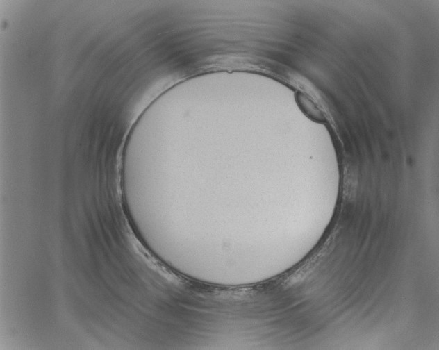 X0000060801386200512082139