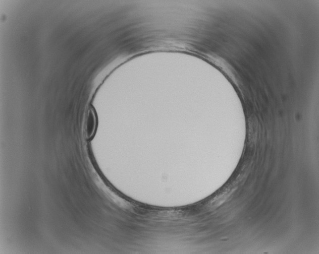 X0000060801387200512082139