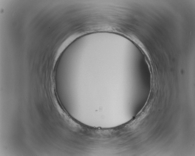 X0000060801389200512082139