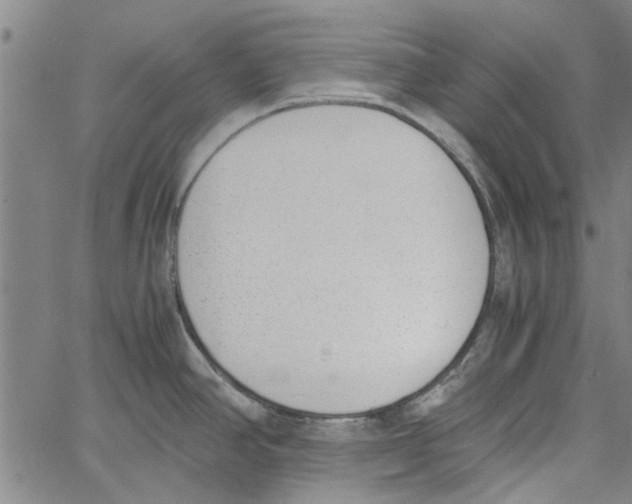 X0000060801390200512082139