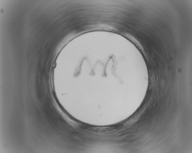 X0000060801391200512082139