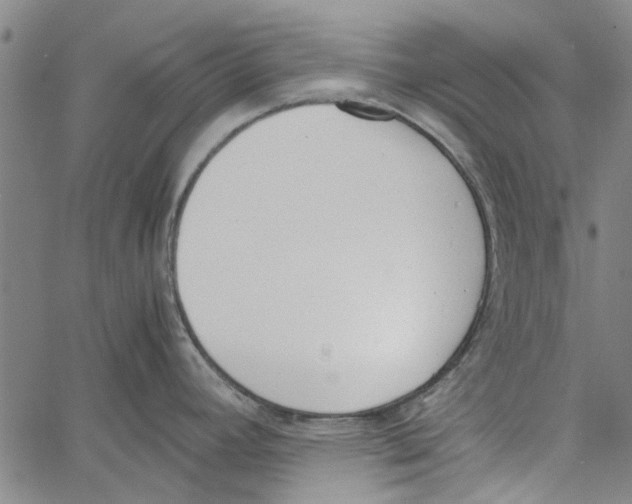 X0000060801392200512082139