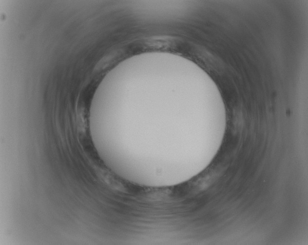 X0000060801394200512082138