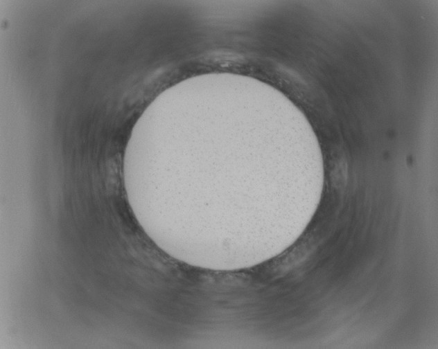 X0000060801397200512082138