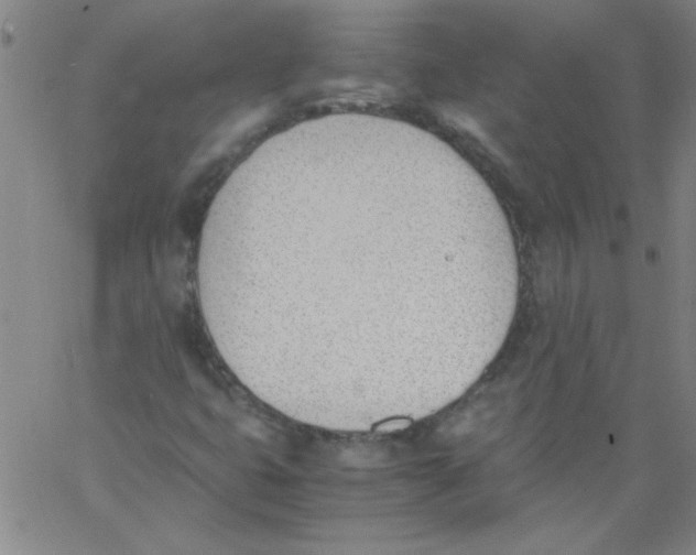 X0000060801399200512082138