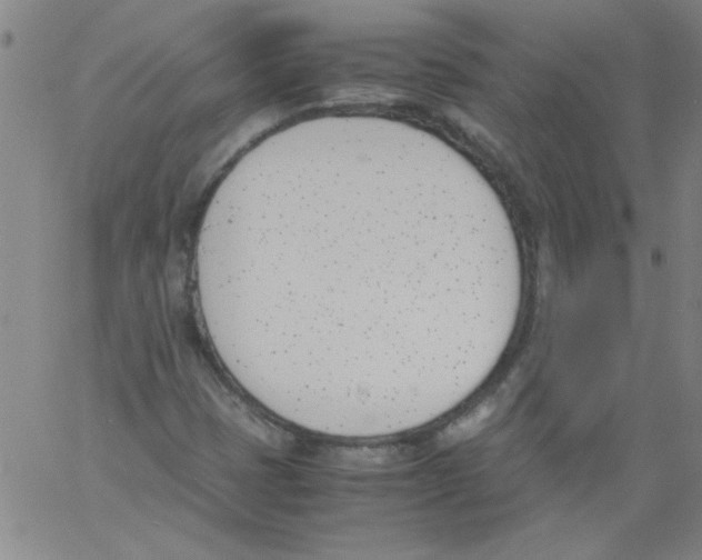 X0000060801401200512082138