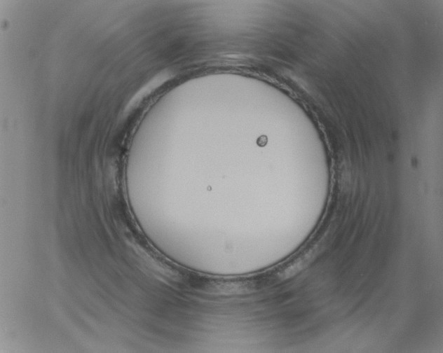 X0000060801402200512082138