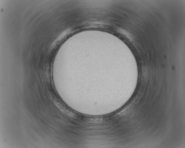 X0000060801403200512082138