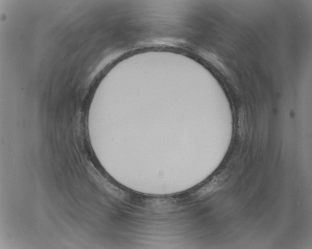 X0000060801404200512082138