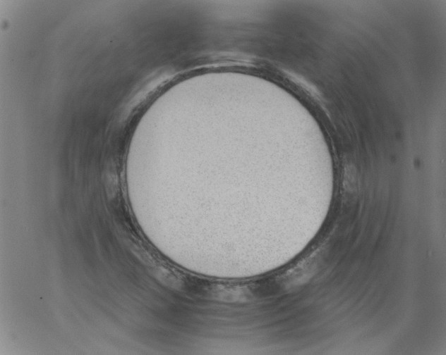 X0000060801407200512082138