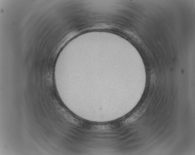 X0000060801409200512082138