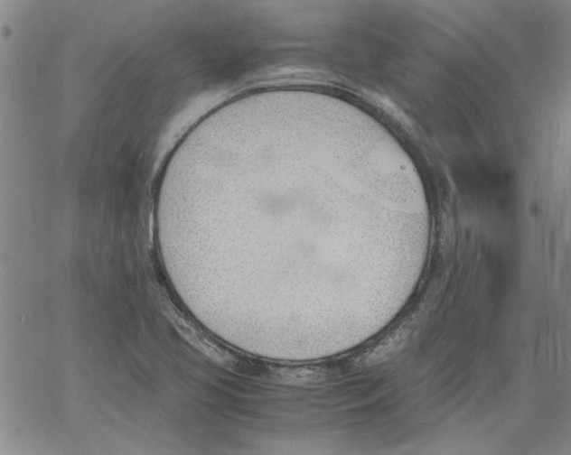 X0000060801413200512082138