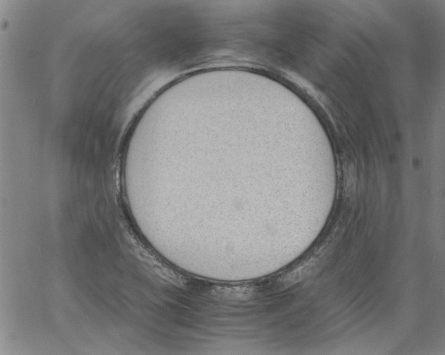 X0000060801415200512082138