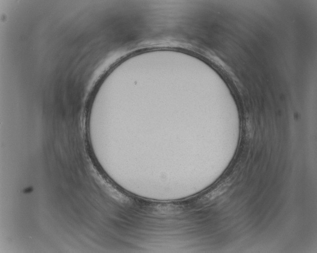 X0000060801416200512082138