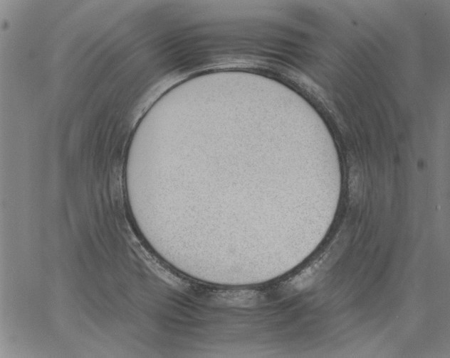 X0000060801417200512082138