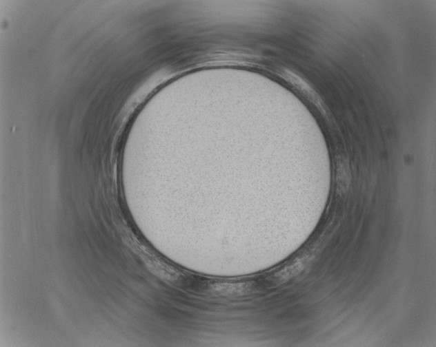 X0000060801419200512082138