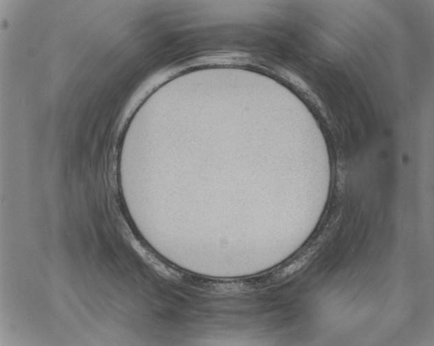 X0000060801421200512082138