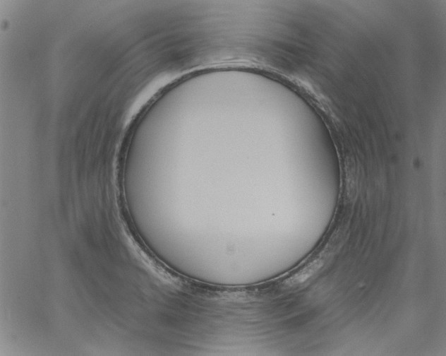 X0000060801422200512082138