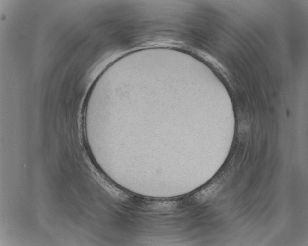 X0000060801423200512082138