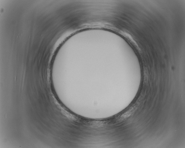 X0000060801424200512082138