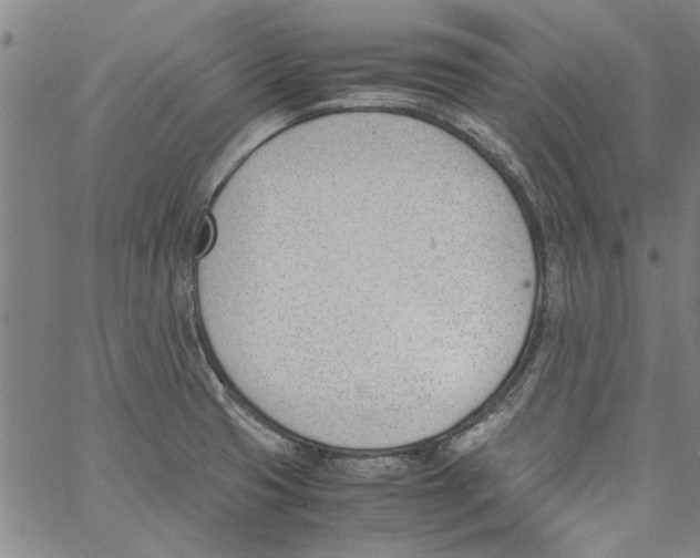 X0000060801425200512082138