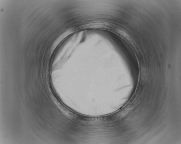 X0000060801426200512082138