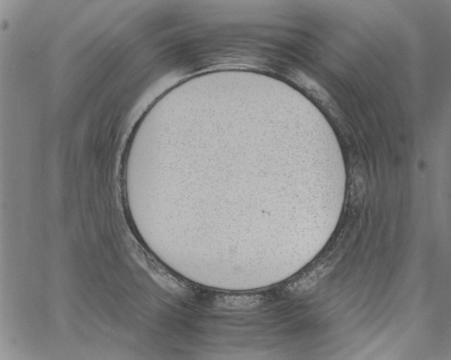 X0000060801427200512082138