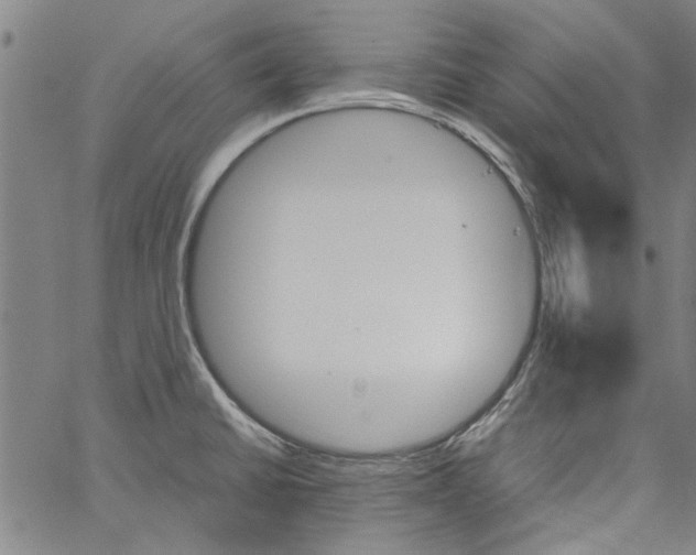 X0000060801430200512082138