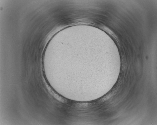 X0000060801431200512082139