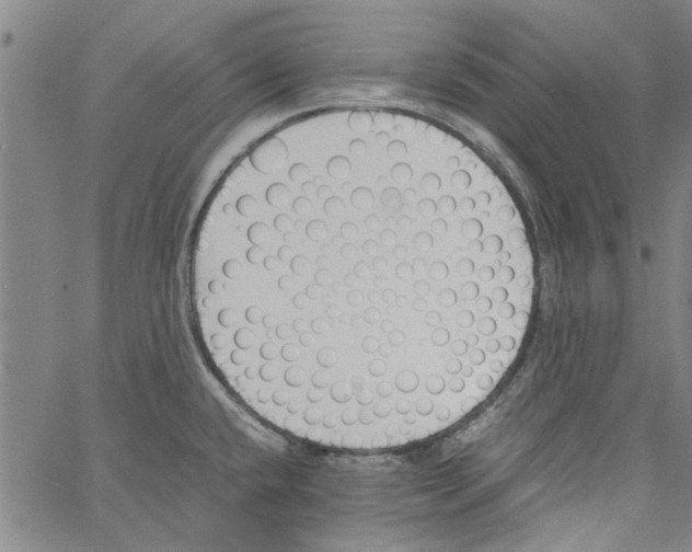 X0000060801432200512082139