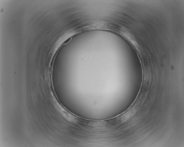 X0000060801434200512082139