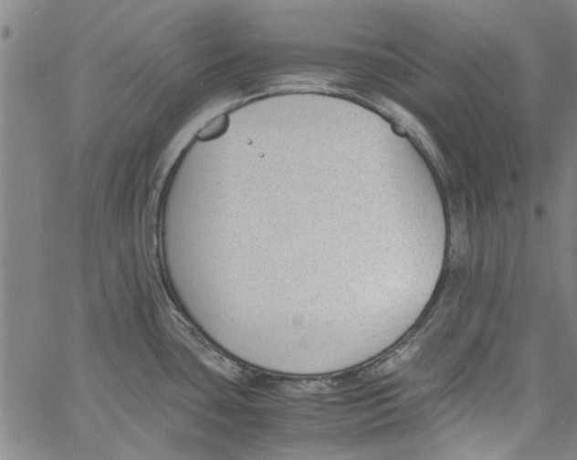 X0000060801435200512082139