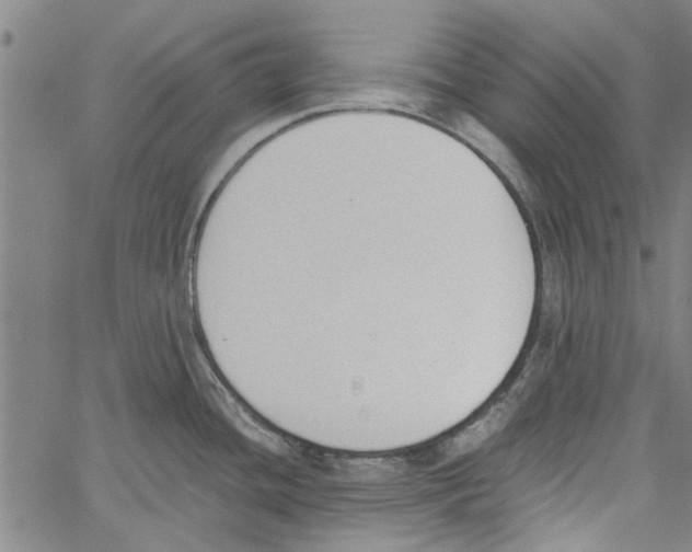 X0000060801436200512082139