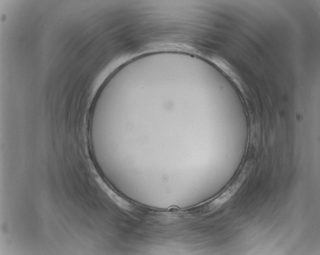 X0000060801438200512082139