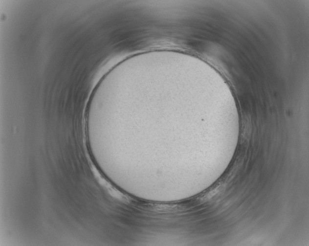 X0000060801439200512082139