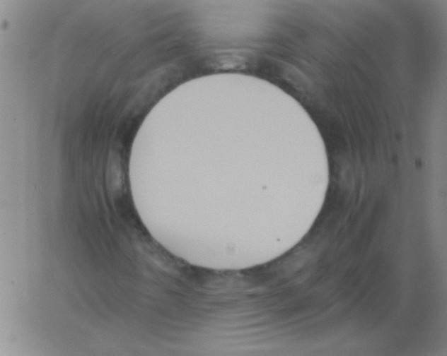 X0000060801442200512082138