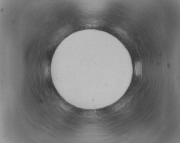 X0000060801444200512082138