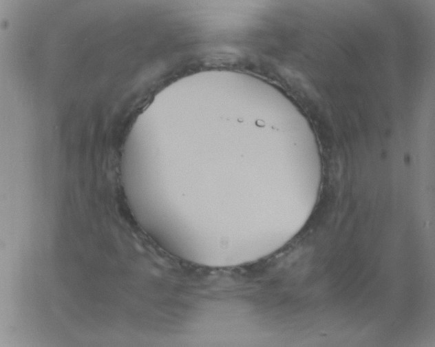 X0000060801445200512082138