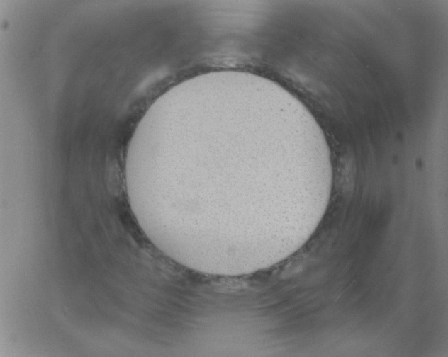 X0000060801446200512082138