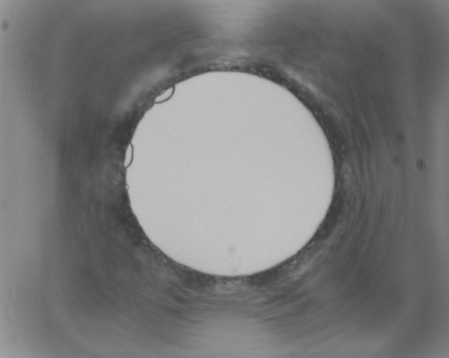 X0000060801447200512082138