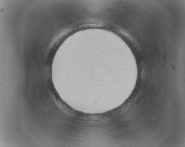 X0000060801448200512082138