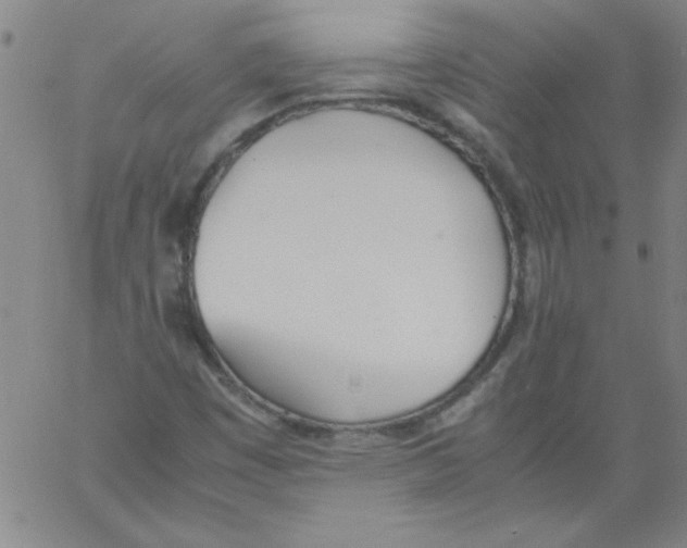 X0000060801449200512082138