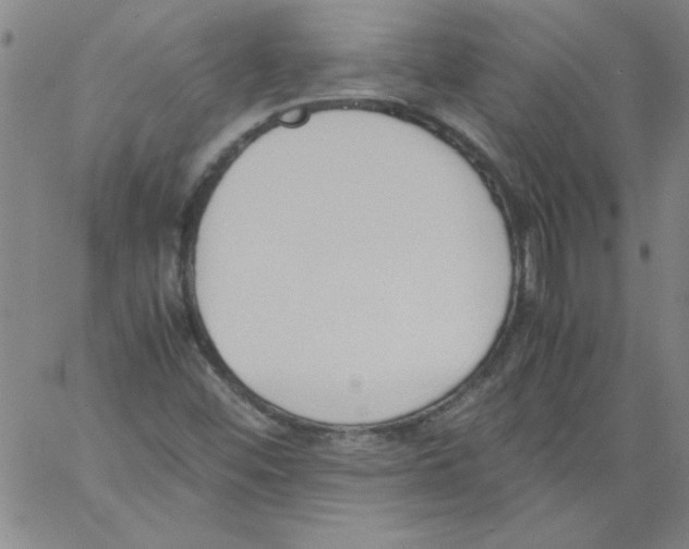 X0000060801452200512082138