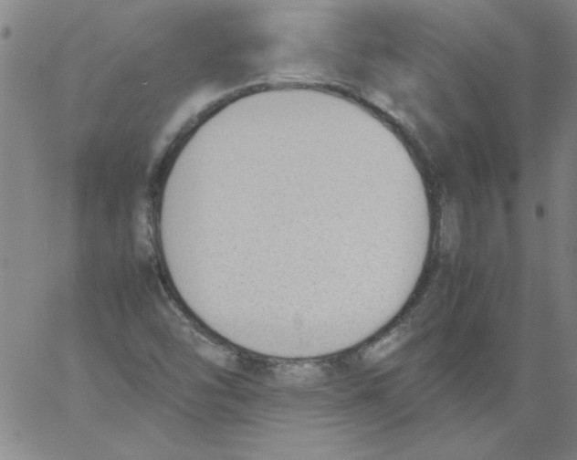 X0000060801454200512082138