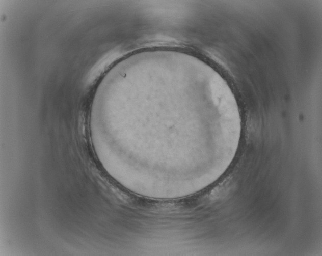 X0000060801455200512082138