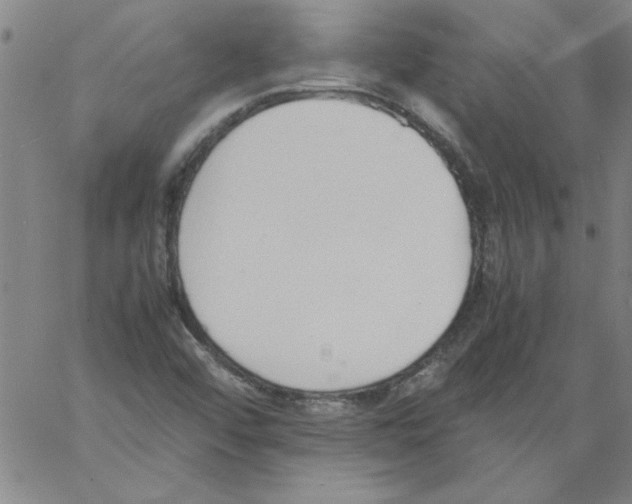 X0000060801456200512082138