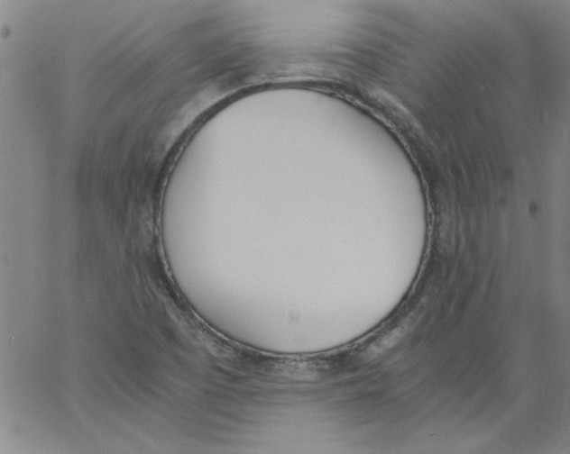 X0000060801457200512082138