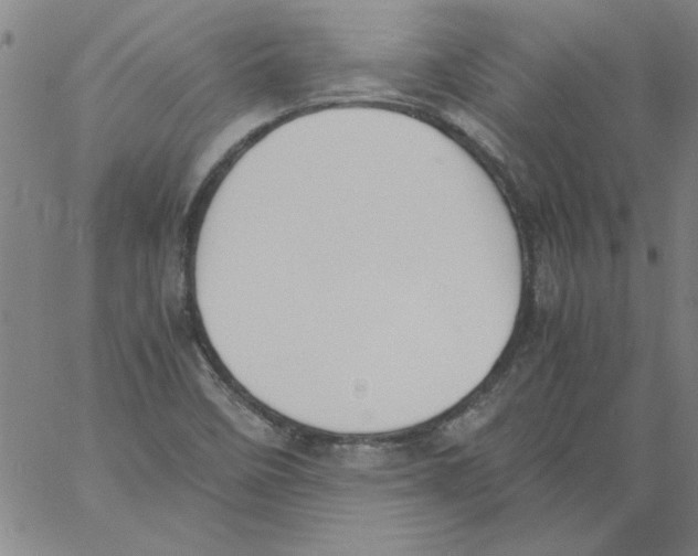 X0000060801458200512082138